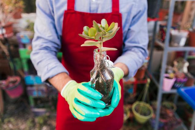 impact investing