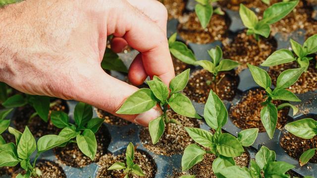 Apa itu sustainability
