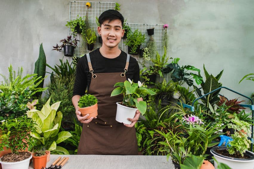 Pengertian UMKM, Jenis, Fungsi, dan Cara Mendaftarnya